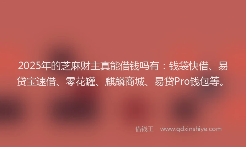 2025年的芝麻财主真能借钱吗有：钱袋快借、易贷宝速借、零花罐、麒麟商城、易贷Pro钱包等。