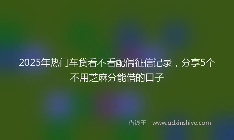 2025年热门车贷看不看配偶征信记录，分享5个不用芝麻分能借的口子