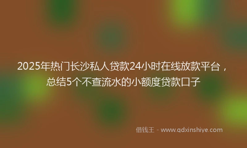 2025年热门长沙私人贷款24小时在线放款平台,总结5个不查流水的小额度贷款口子
