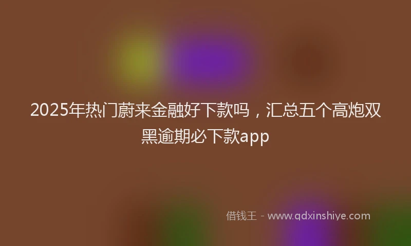 2025年热门蔚来金融好下款吗，汇总五个高炮双黑逾期必下款app