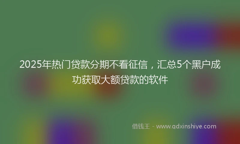 2025年热门贷款分期不看征信，汇总5个黑户成功获取大额贷款的软件