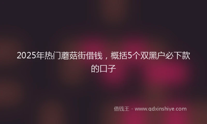 2025年热门蘑菇街借钱，概括5个双黑户必下款的口子