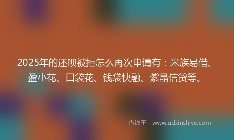 2025年的还呗被拒怎么再次申请有：米族易借、盈小花、口袋花、钱袋快融、紫晶信贷等。