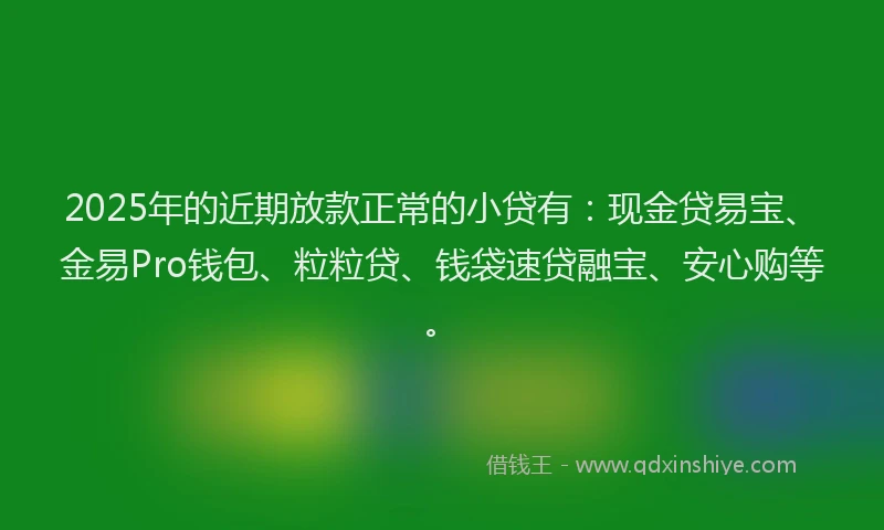 2025年的近期放款正常的小贷有：现金贷易宝、金易Pro钱包、粒粒贷、钱袋速贷融宝、安心购等。