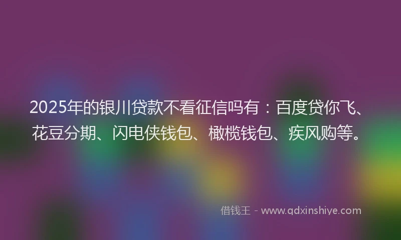 2025年的银川贷款不看征信吗有：百度贷你飞、花豆分期、闪电侠钱包、橄榄钱包、疾风购等。