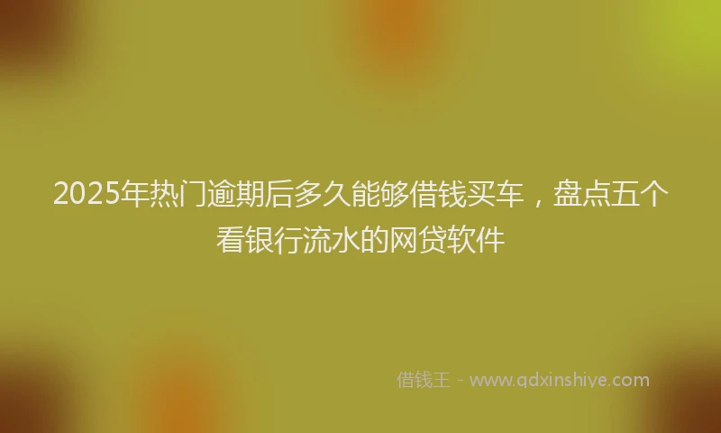 2025年热门逾期后多久能够借钱买车,盘点五个看银行流水的网贷软件