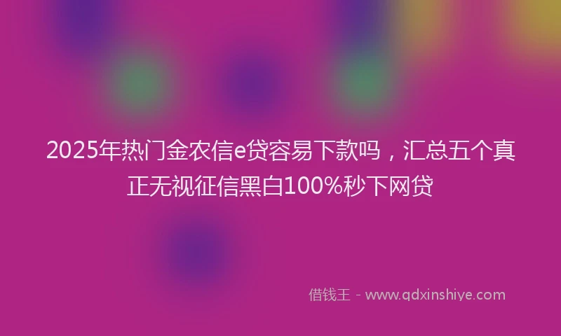 2025年热门金农信e贷容易下款吗，汇总五个真正无视征信黑白100%秒下网贷