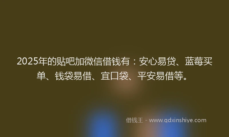 2025年的贴吧加微信借钱有:安心易贷、蓝莓买单、钱袋易借、宜口袋、平安易借等。