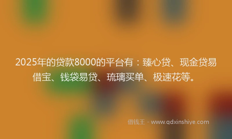 2025年的贷款8000的平台有:臻心贷、现金贷易借宝、钱袋易贷、琉璃买单、极速花等。