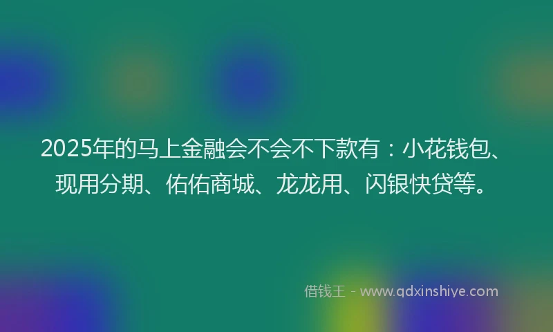2025年的马上金融会不会不下款有：小花钱包、现用分期、佑佑商城、龙龙用、闪银快贷等。