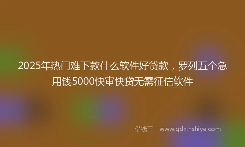 2025年热门难下款什么软件好贷款,罗列五个急用钱5000快审快贷无需征信软件