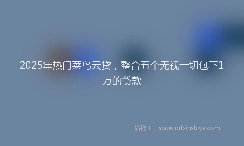 2025年热门菜鸟云贷，整合五个无视一切包下1万的贷款