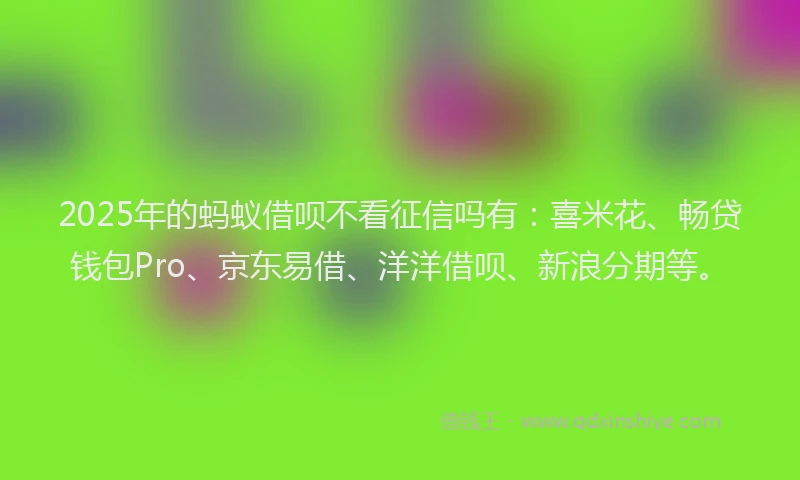 2025年的蚂蚁借呗不看征信吗有：喜米花、畅贷钱包Pro、京东易借、洋洋借呗、新浪分期等。