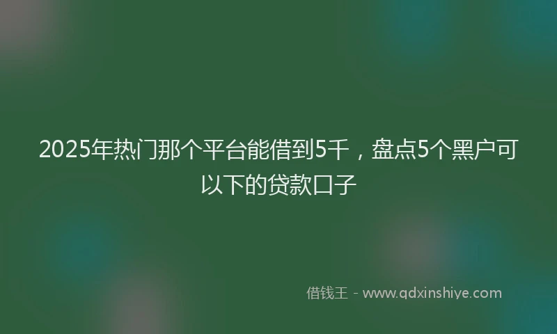 2025年热门那个平台能借到5千，盘点5个黑户可以下的贷款口子