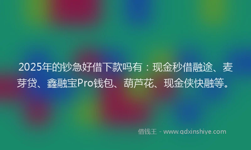 2025年的钞急好借下款吗有：现金秒借融途、麦芽贷、鑫融宝Pro钱包、葫芦花、现金侠快融等。
