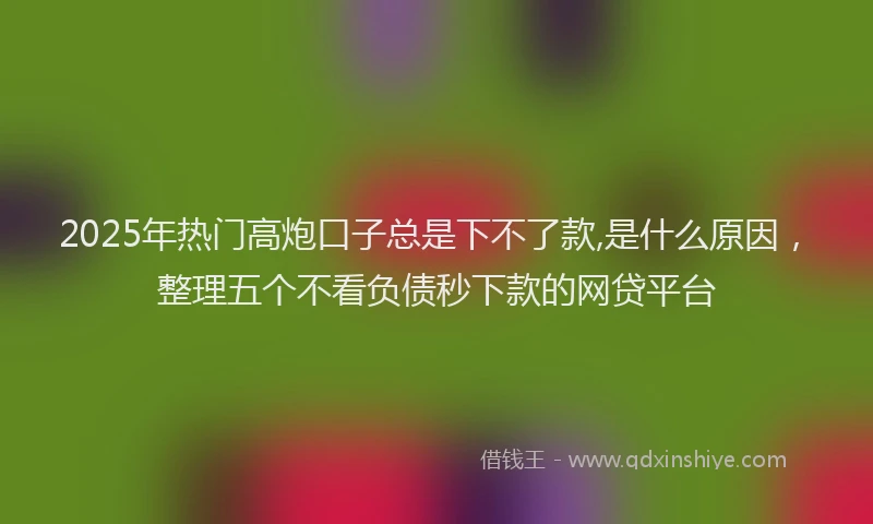 2025年热门高炮口子总是下不了款,是什么原因，整理五个不看负债秒下款的网贷平台