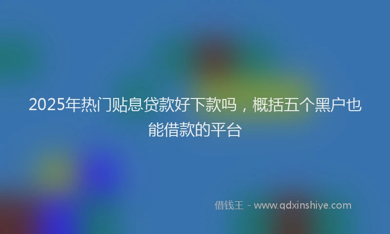 2025年热门贴息贷款好下款吗，概括五个黑户也能借款的平台