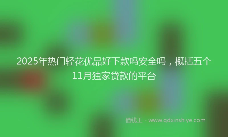 2025年热门轻花优品好下款吗安全吗,概括五个11月独家贷款的平台