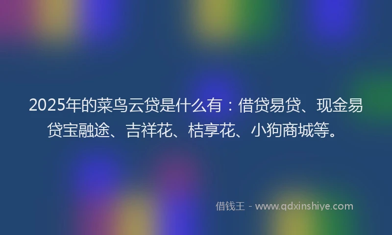 2025年的菜鸟云贷是什么有：借贷易贷、现金易贷宝融途、吉祥花、桔享花、小狗商城等。