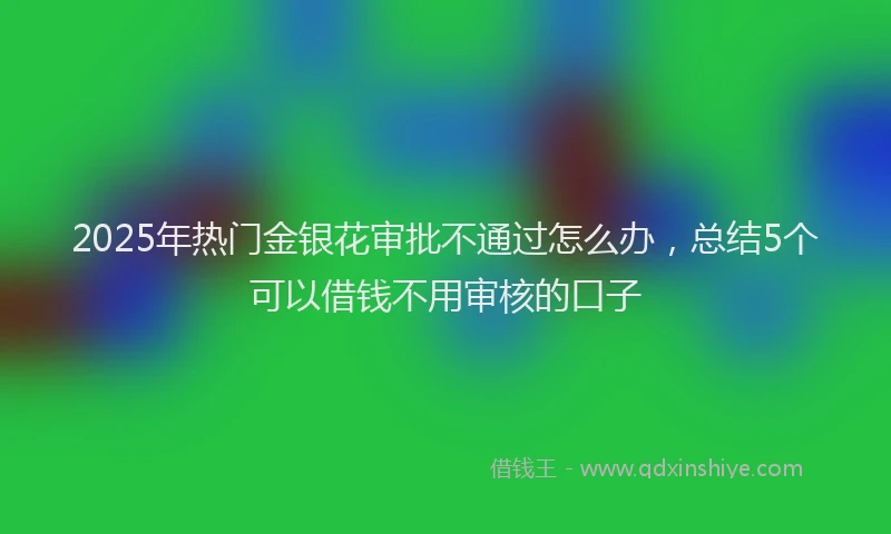 2025年热门金银花审批不通过怎么办，总结5个可以借钱不用审核的口子