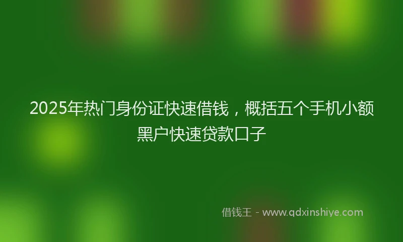 2025年热门身份证快速借钱，概括五个手机小额黑户快速贷款口子