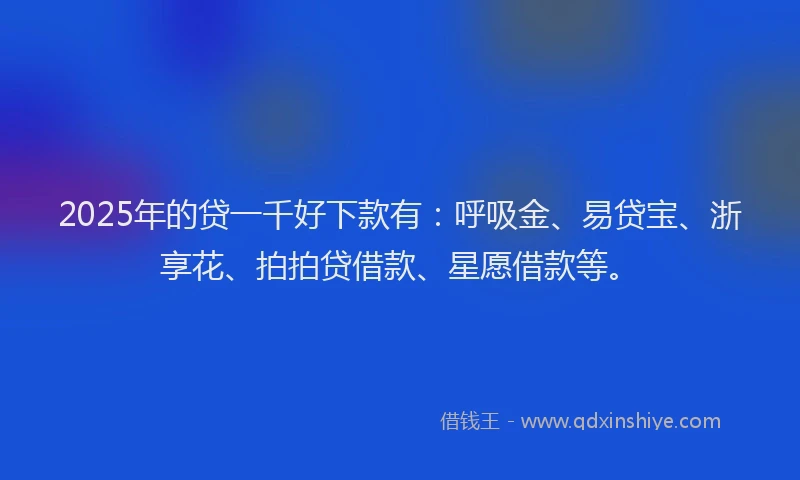 2025年的贷一千好下款有:呼吸金、易贷宝、浙享花、拍拍贷借款、星愿借款等。