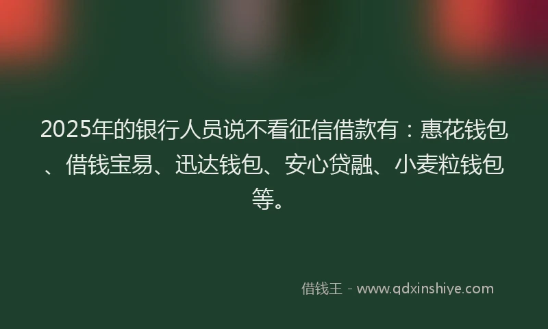 2025年的银行人员说不看征信借款有：惠花钱包、借钱宝易、迅达钱包、安心贷融、小麦粒钱包等。