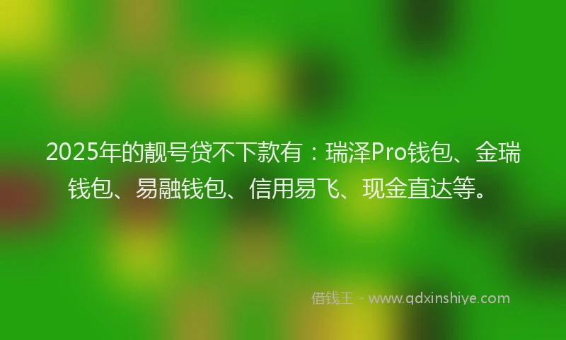 2025年的靓号贷不下款有：瑞泽Pro钱包、金瑞钱包、易融钱包、信用易飞、现金直达等。