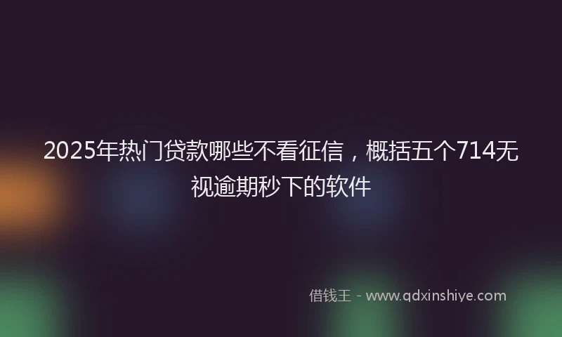 2025年热门贷款哪些不看征信,概括五个714无视逾期秒下的软件