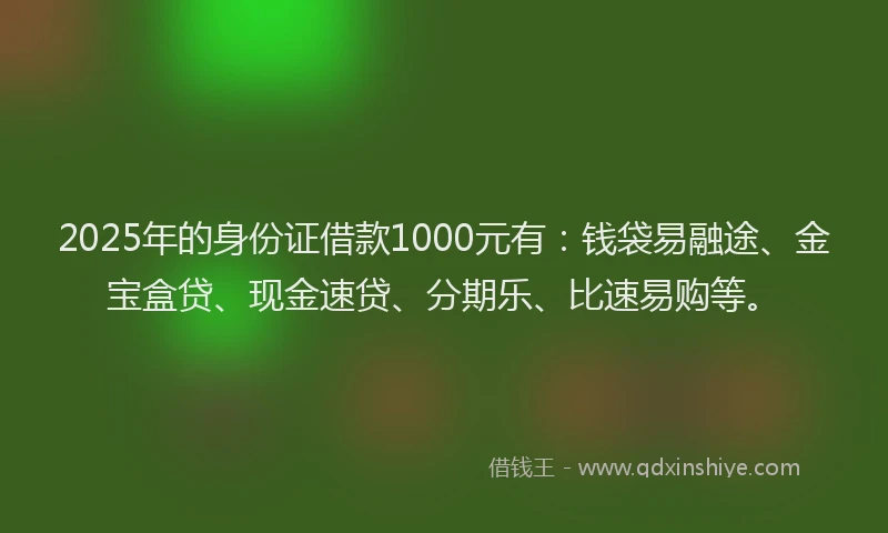 2025年的身份证借款1000元有:钱袋易融途、金宝盒贷、现金速贷、分期乐、比速易购等。