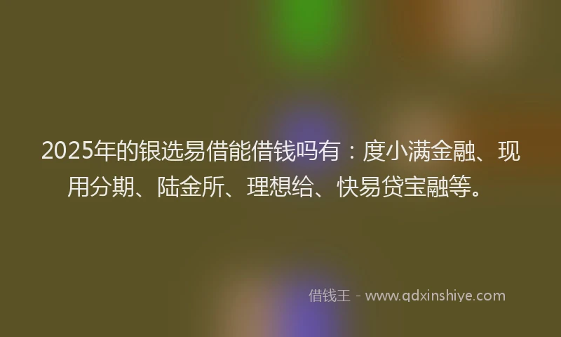 2025年的银选易借能借钱吗有：度小满金融、现用分期、陆金所、理想给、快易贷宝融等。