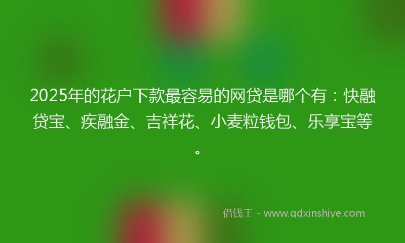 2025年的花户下款最容易的网贷是哪个有：快融贷宝、疾融金、吉祥花、小麦粒钱包、乐享宝等。