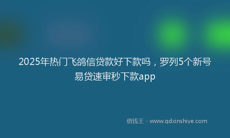 2025年热门飞鸽信贷款好下款吗，罗列5个新号易贷速审秒下款app