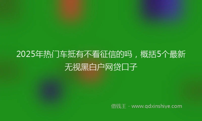 2025年热门车抵有不看征信的吗，概括5个最新无视黑白户网贷口子