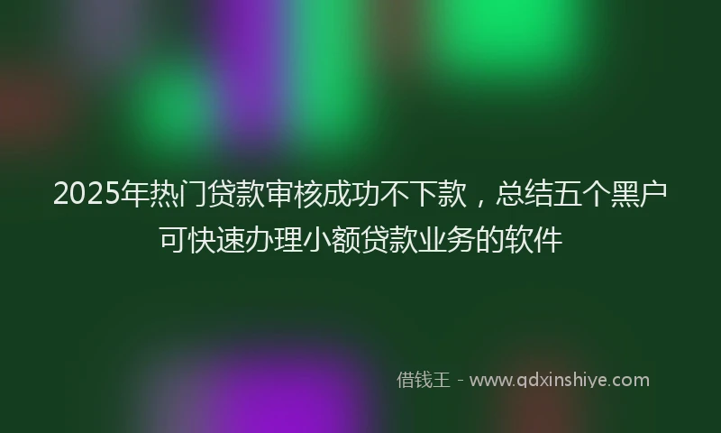 2025年热门贷款审核成功不下款,总结五个黑户可快速办理小额贷款业务的软件