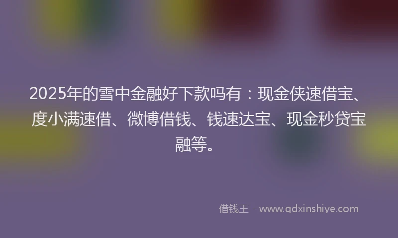 2025年的雪中金融好下款吗有：现金侠速借宝、度小满速借、微博借钱、钱速达宝、现金秒贷宝融等。