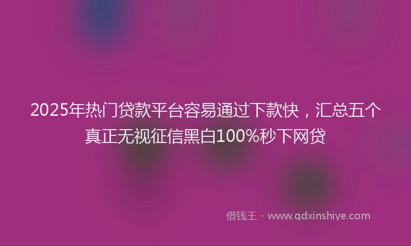 2025年热门贷款平台容易通过下款快,汇总五个真正无视征信黑白100%秒下网贷