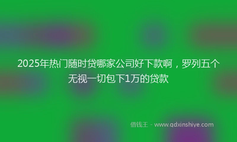 2025年热门随时贷哪家公司好下款啊，罗列五个无视一切包下1万的贷款
