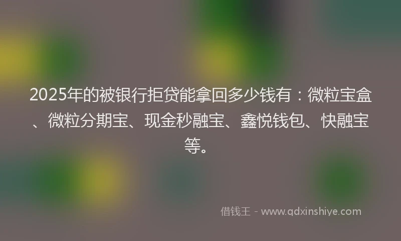 2025年的被银行拒贷能拿回多少钱有:微粒宝盒、微粒分期宝、现金秒融宝、鑫悦钱包、快融宝等。