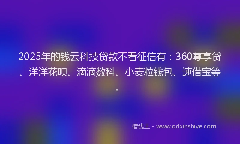 2025年的钱云科技贷款不看征信有：360尊享贷、洋洋花呗、滴滴数科、小麦粒钱包、速借宝等。