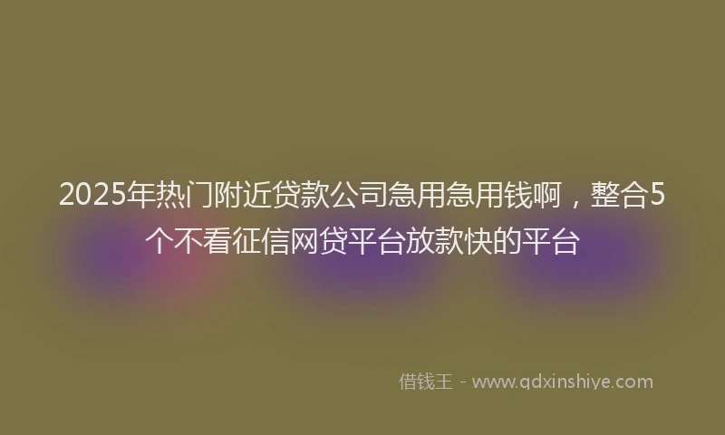 2025年热门附近贷款公司急用急用钱啊,整合5个不看征信网贷平台放款快的平台