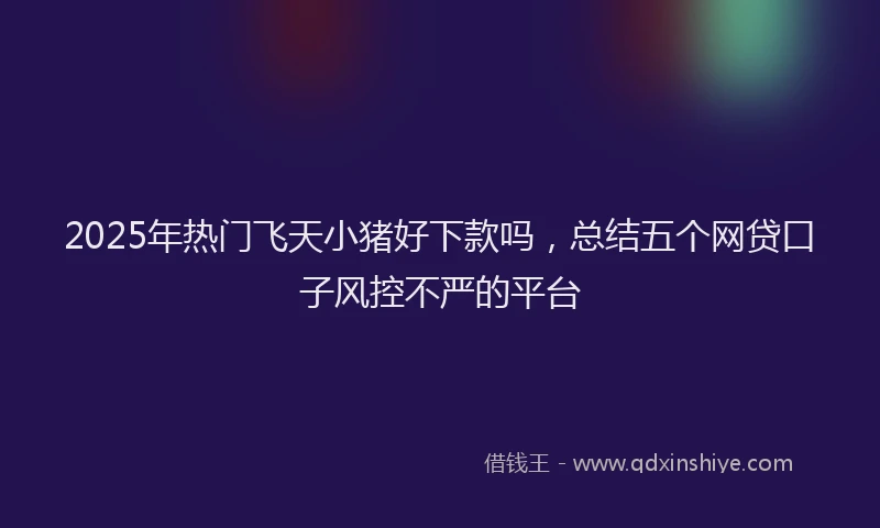 2025年热门飞天小猪好下款吗，总结五个网贷口子风控不严的平台