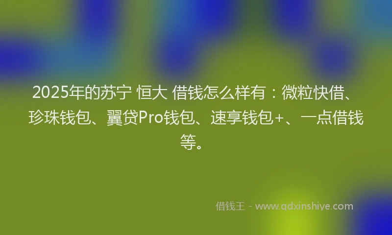 2025年的苏宁 恒大 借钱怎么样有：微粒快借、珍珠钱包、翼贷Pro钱包、速享钱包+、一点借钱等。