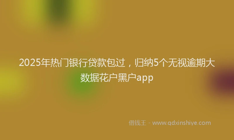 2025年热门银行贷款包过，归纳5个无视逾期大数据花户黑户app