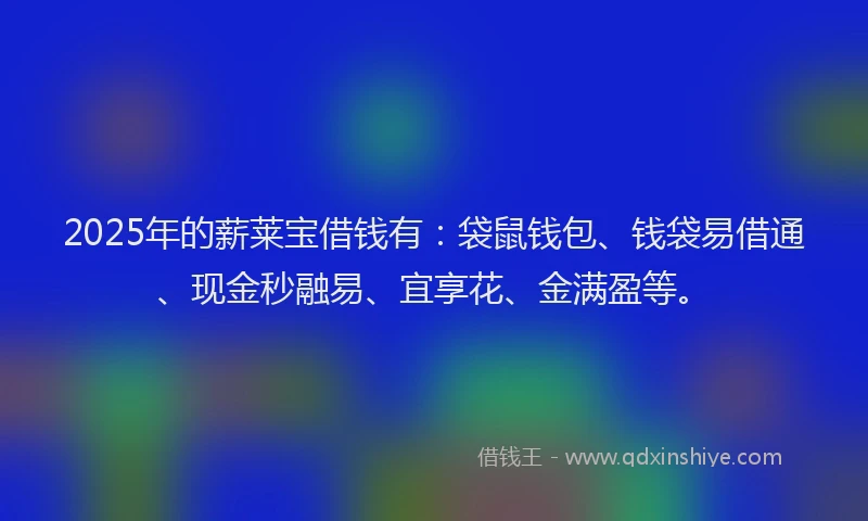 2025年的薪莱宝借钱有：袋鼠钱包、钱袋易借通、现金秒融易、宜享花、金满盈等。
