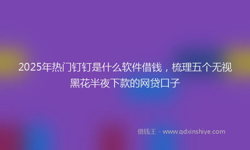 2025年热门钉钉是什么软件借钱,梳理五个无视黑花半夜下款的网贷口子