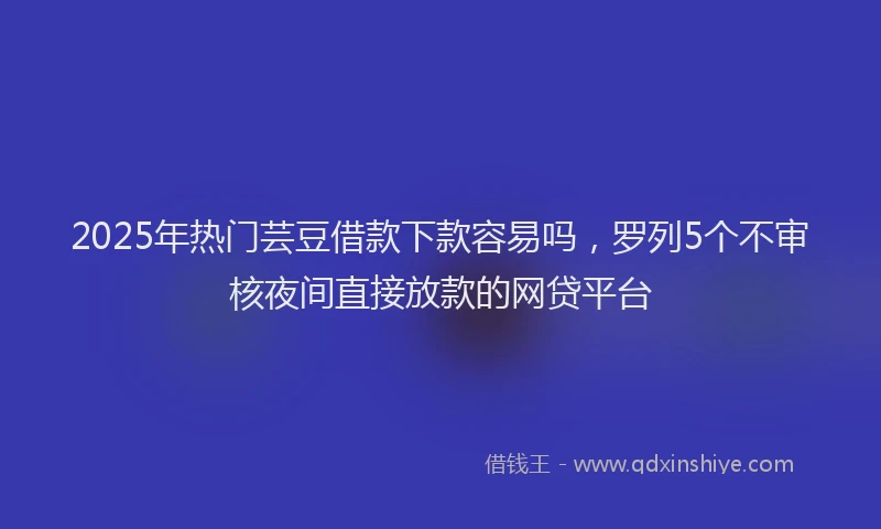 2025年热门芸豆借款下款容易吗，罗列5个不审核夜间直接放款的网贷平台