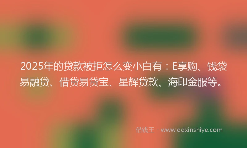 2025年的贷款被拒怎么变小白有：E享购、钱袋易融贷、借贷易贷宝、星辉贷款、海印金服等。