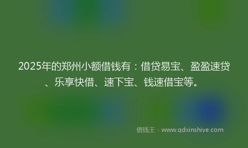 2025年的郑州小额借钱有:借贷易宝、盈盈速贷、乐享快借、速下宝、钱速借宝等。