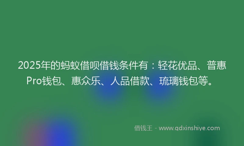2025年的蚂蚁借呗借钱条件有：轻花优品、普惠Pro钱包、惠众乐、人品借款、琉璃钱包等。